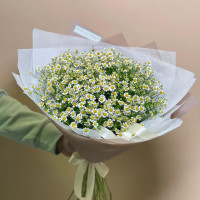 Chamomile bouquet